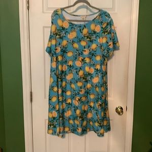 Fun A-line dress. Purchased at a local boutique